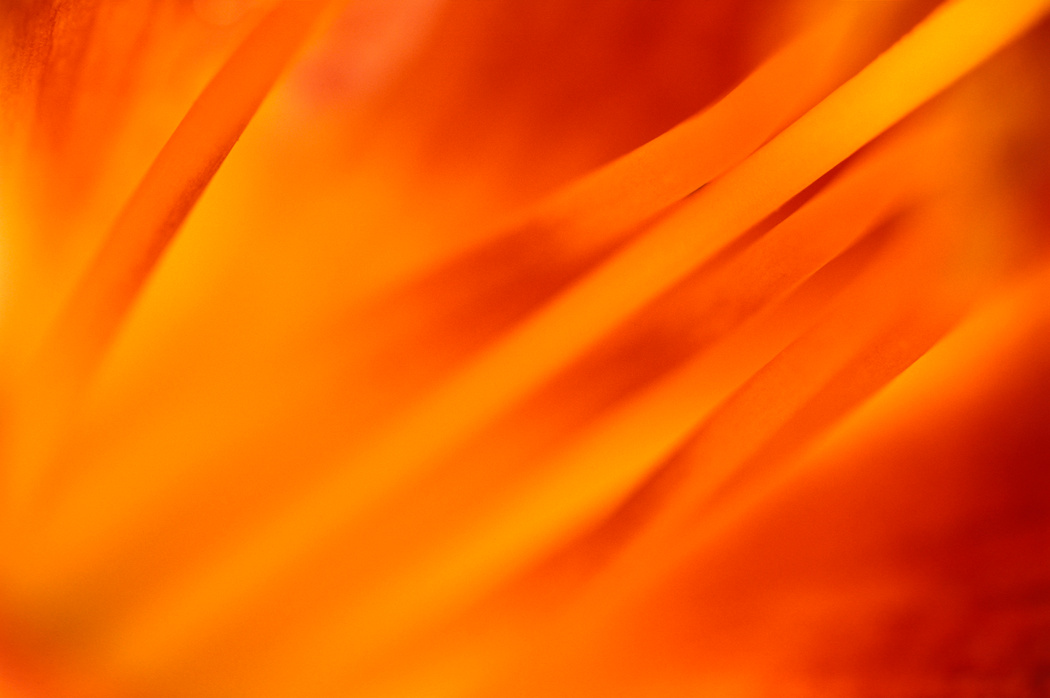 Abstract Bright Orange Color Texture Background